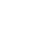 Image icon