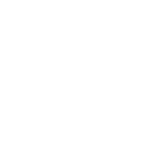 Image icon