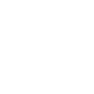 Image icon