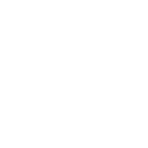 Image icon