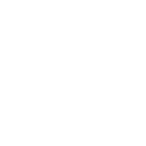 Image icon