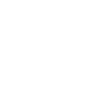 Image icon