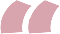 Image module